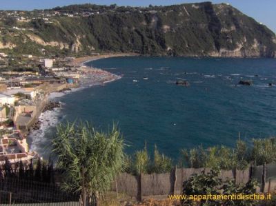 Ischia, app. per AGOSTO 4 posti letto euro 1.100