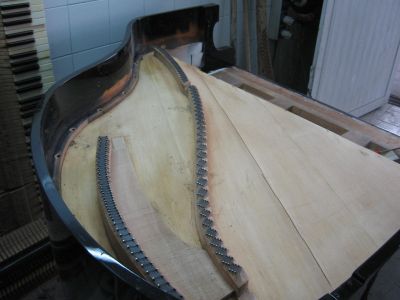 Vendita assistenza pianoforti