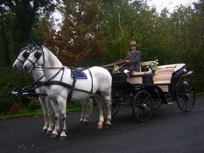 Carrozze per matrimoni