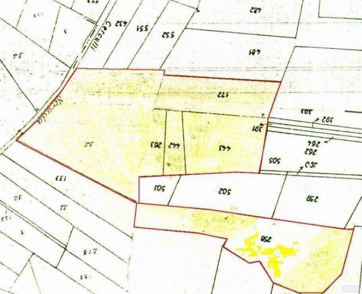 TERRENO Mq 17000 Atina-Casalvieri (espos SUD adatto Vigneto-zona DOC