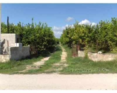 Terreno vicino la Villa romana del Tellaro 