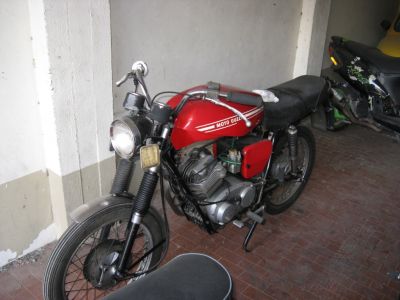 Morini