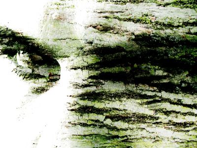 Esposizione Collettiva di Arte Contemporanea: Settimo Ciclo Espositivo del Premio Art Caff Letterar