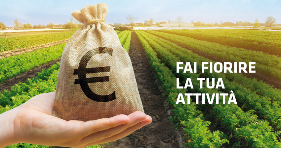 Prestito pi� facile e veloce 