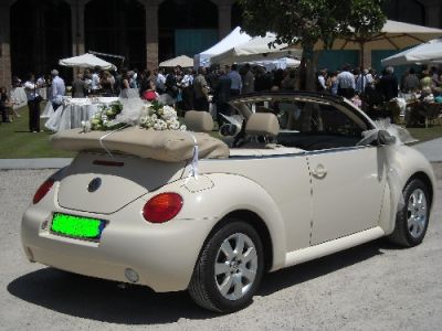 Auto per Cerimonie