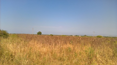Localit� Campanedda terreno agricolo pianeggiante seminativo di Ha 21 !!!