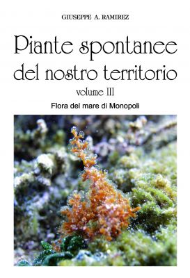 Piante spontanee del nostro territorio - volume III