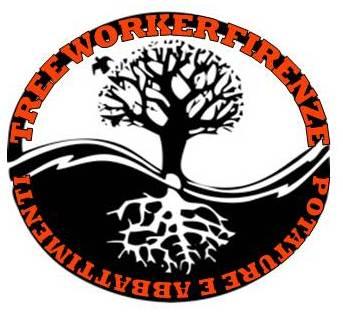 Potature e abbattimenti alberi treeworker 