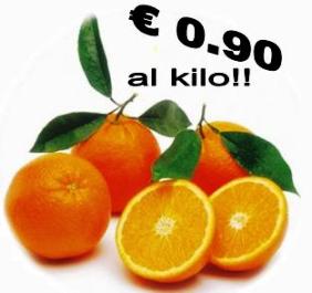 Arance tarocco della Calabria a  0.90 al kilo.