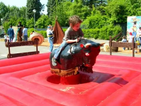 Noleggio Toro meccanico o bisonte meccanico ideale per la.tua festa, evento sagra, motoraduno