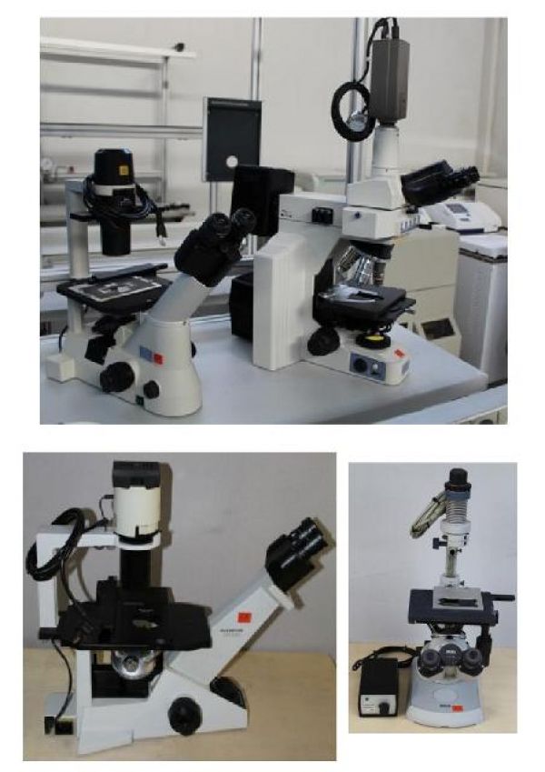 Vendita fallimentare laboratorio analisi