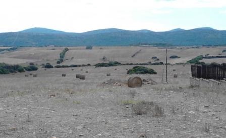 Nurra di Sassari terreno agricolo seminativo di Ha 38 !!!