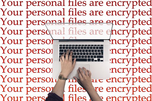 Ripetizioni e corsi di informatica