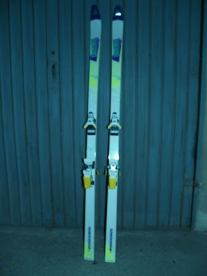 Sci Rossignol