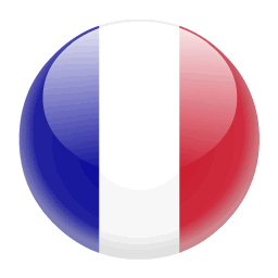 TRADUZIONI LINGUA FRANCESE