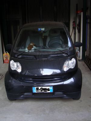 Smart Fortwo  Coup 700 cc