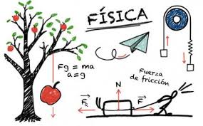 Matematica e fisica ripetizioni di recupero individuali e preparazione esami universitari