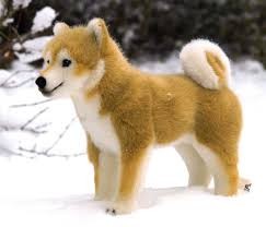 Cuccioli shiba inu